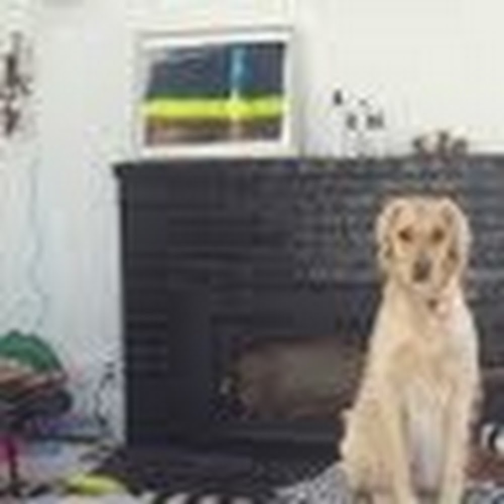 Meet your Posher, Maya